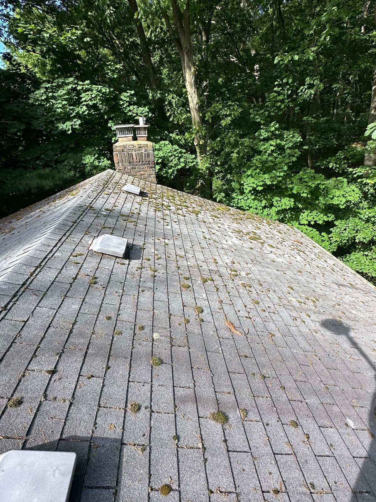 A roof with a chimney and trees in the background.