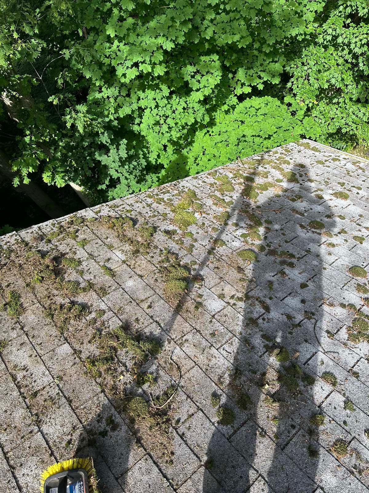 A shadow of a person is cast on a roof with trees in the background.