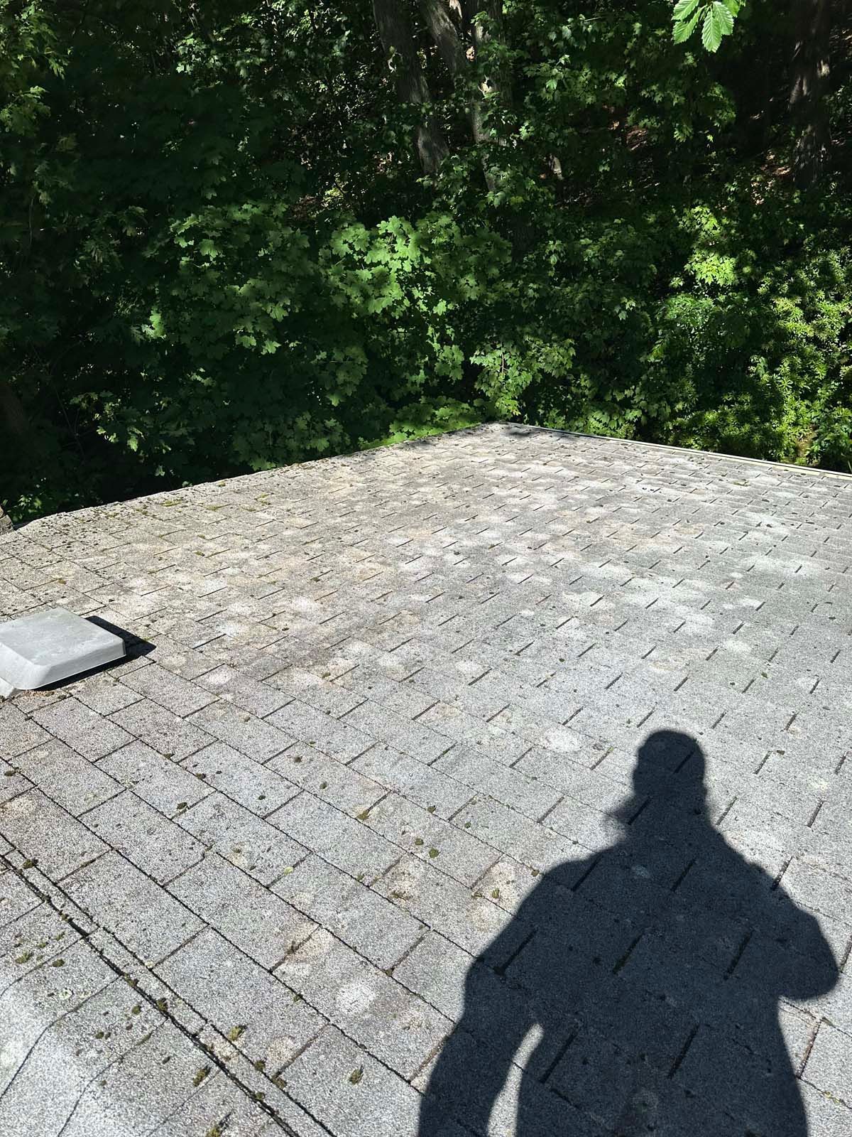 A person 's shadow is cast on a roof with trees in the background.