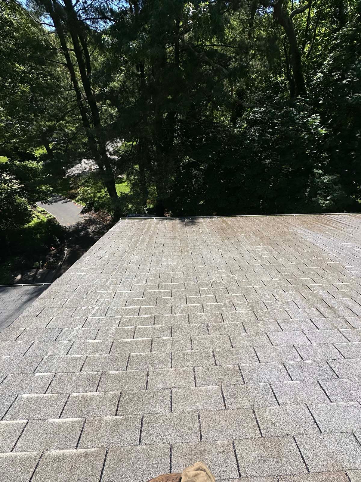 A person is standing on top of a roof with trees in the background.
