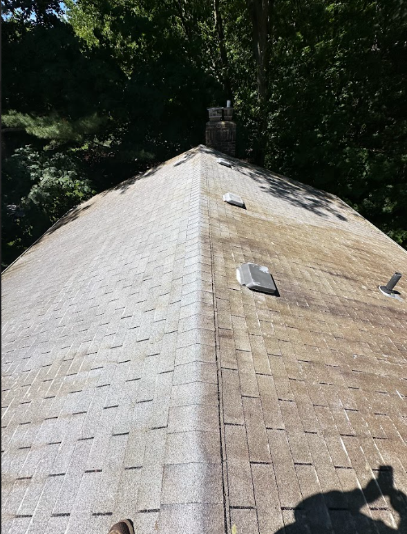 A picture of a roof before and after being cleaned.