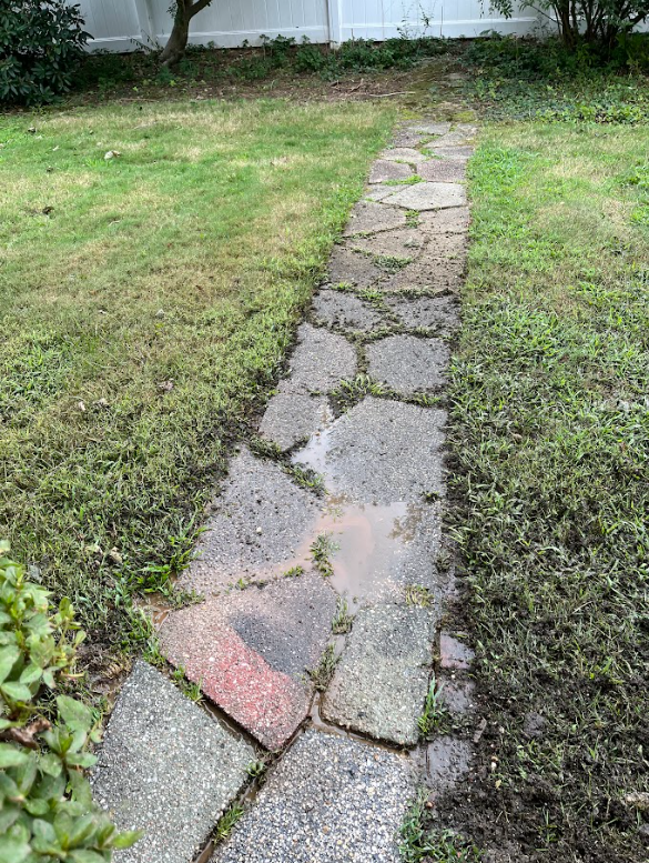 A stone walkway going through a lush green yard.