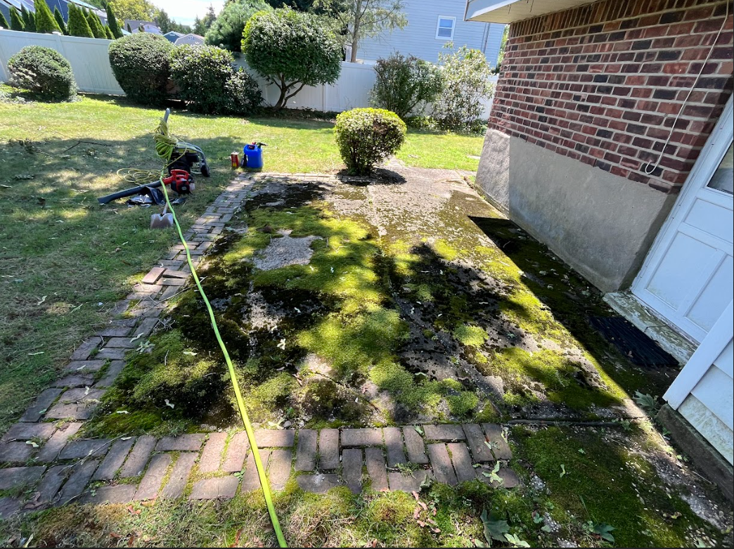 A brick walkway with moss growing on it in front of a brick house.