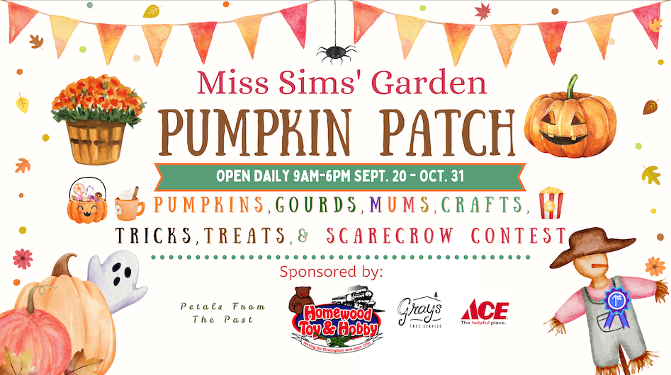A poster for a pumpkin and mum sale at miss sims ' garden