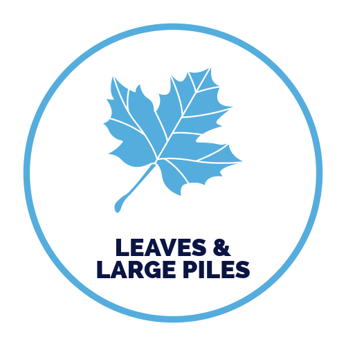 A blue maple leaf in a blue circle with the words `` leaves & large piles '' below it.