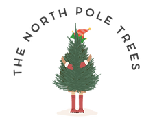 north pole trees link