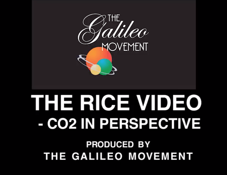 The Rice Video