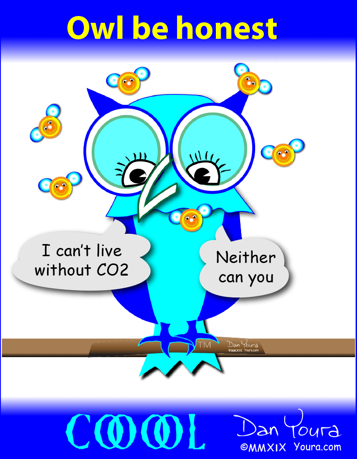Cool Owl: Owl Be Honest