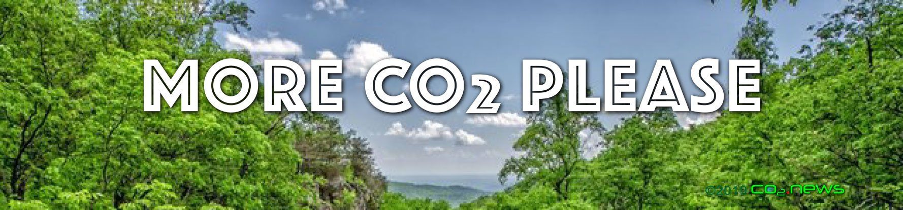 Help trees get more CO2