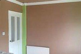 David Terry Plastering services