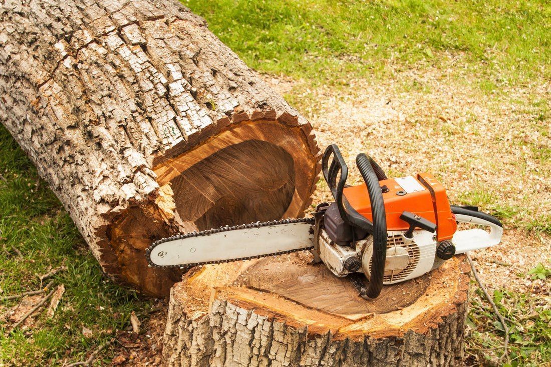 A chainsaw is sitting on top of a tree stump.