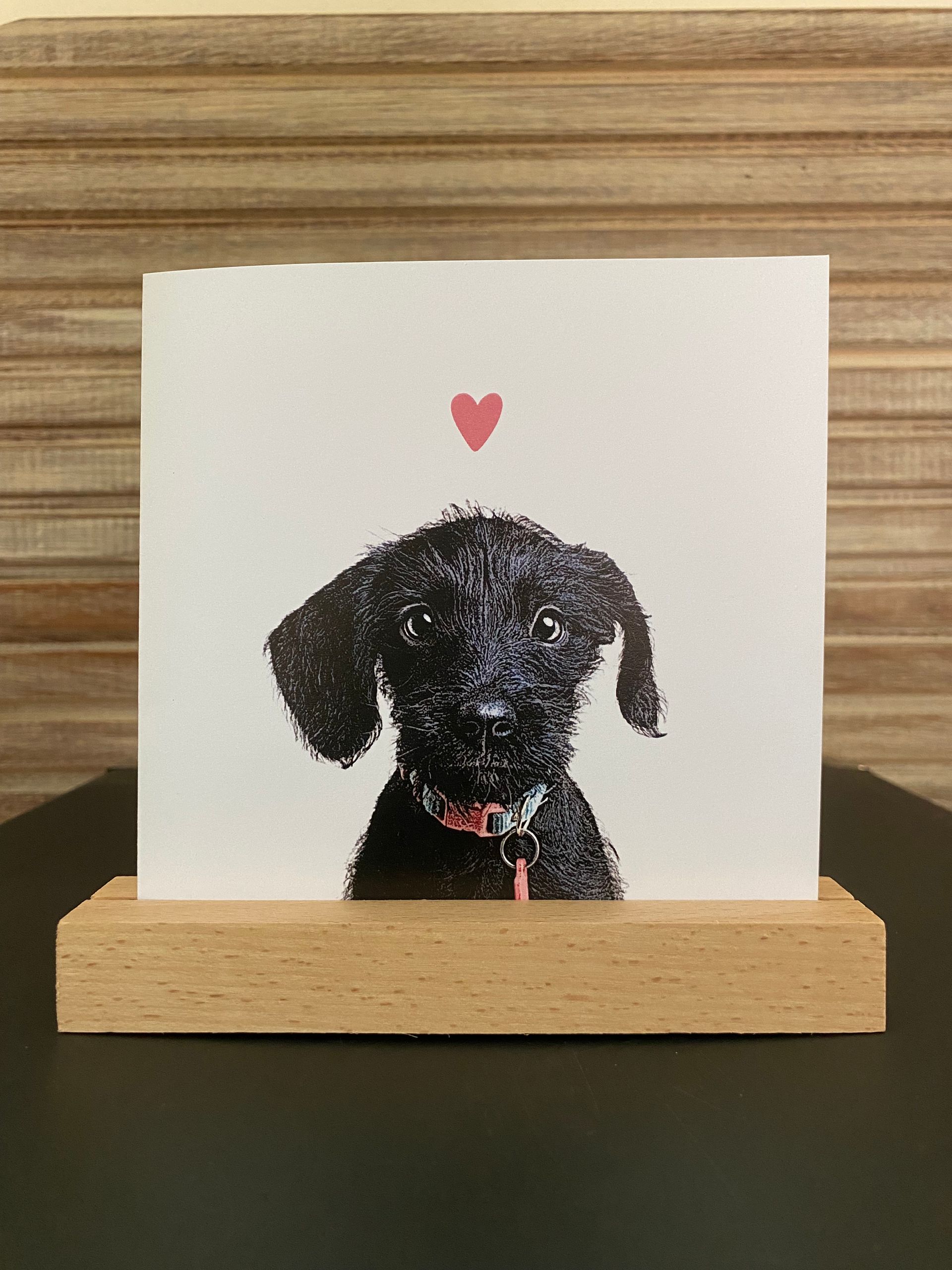 Een foto van een zwarte hond met een rood hart boven zijn hoofd