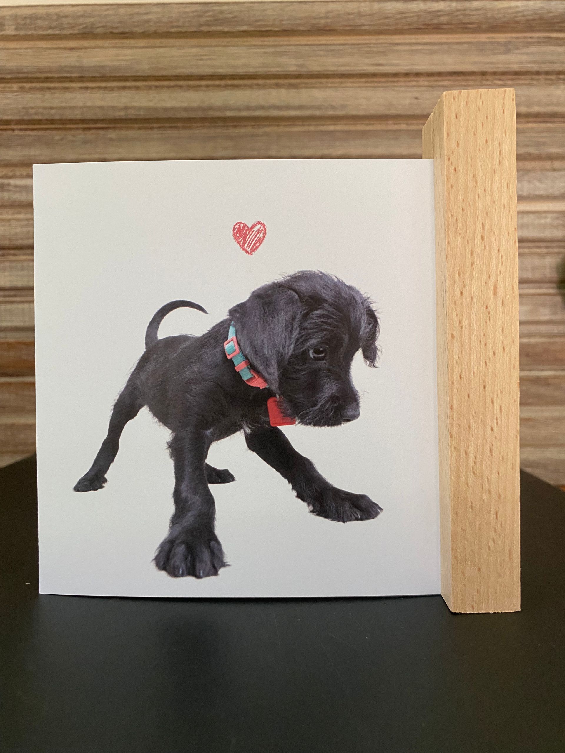 Een foto van een zwarte puppy met een rode strik om zijn nek
