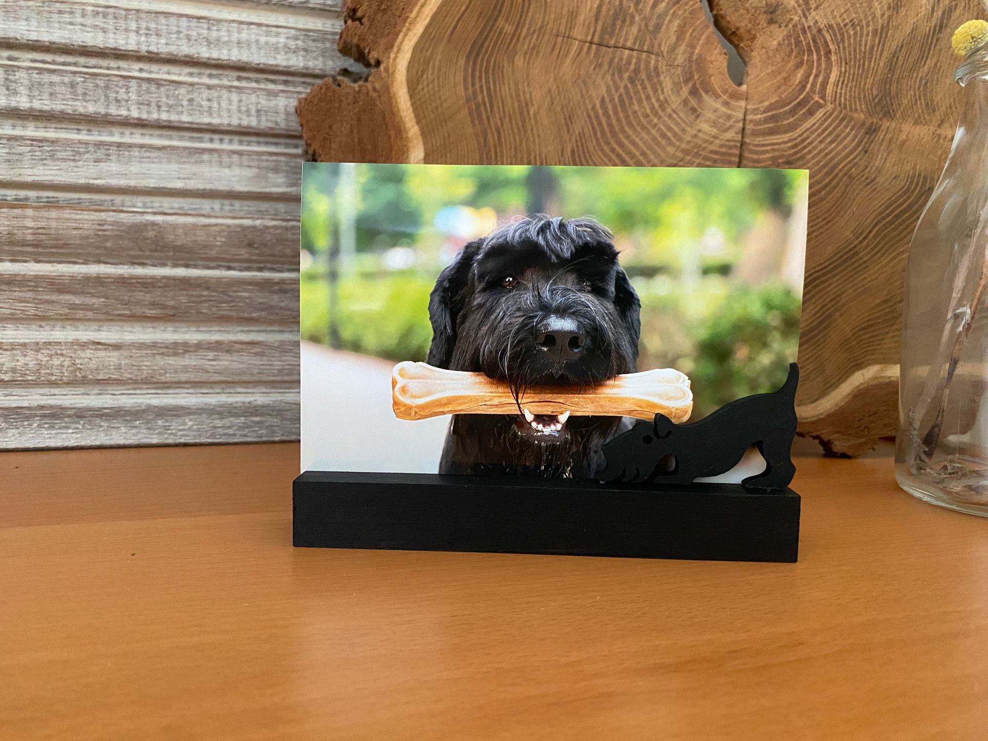 Zwarte hond met een bot in zijn bek, in een fotolijstje op een houten oppervlak.