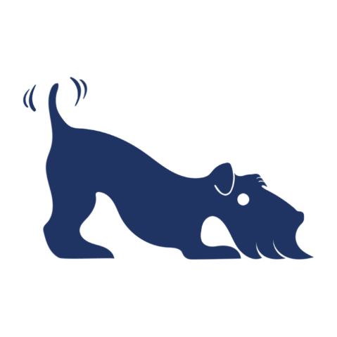 Donkerblauwe hond, kop naar beneden, staart kwispelend van opwinding.