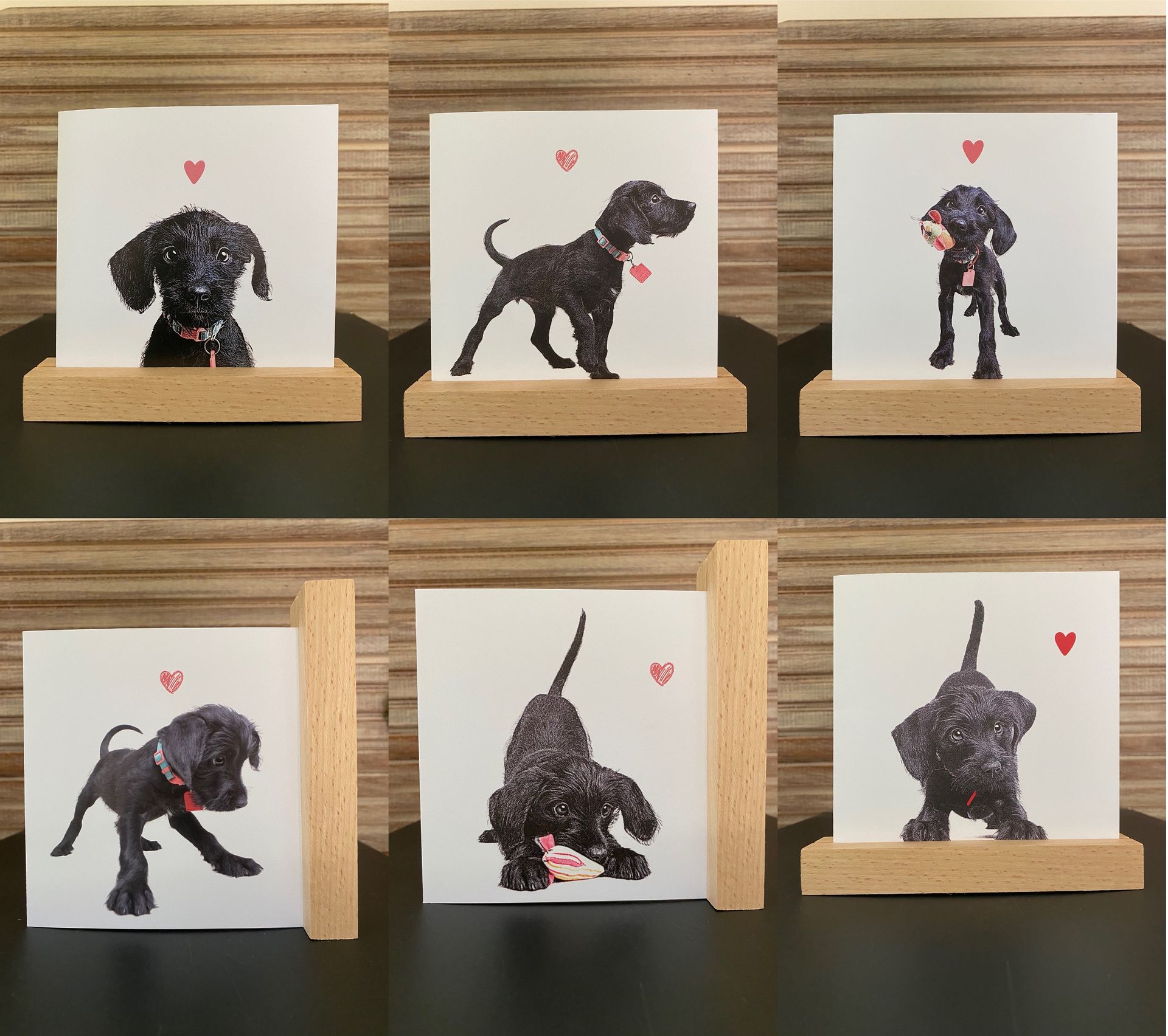 Willow wenskaart | de hele set (6 stuks)