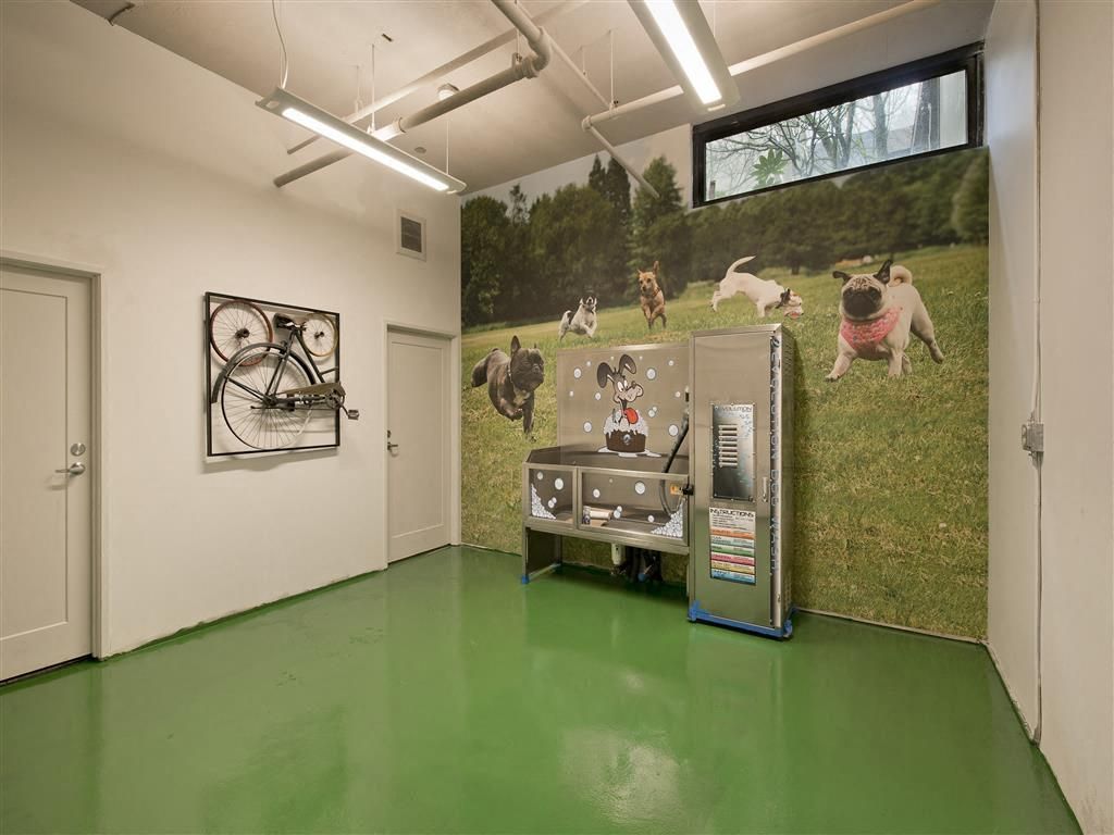 Community amenity room featuring a wall-mounted bike and a dog mural.