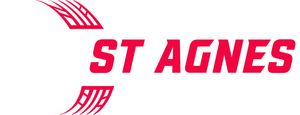 Logo Footer