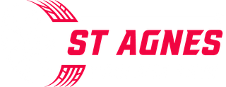 Logo Footer