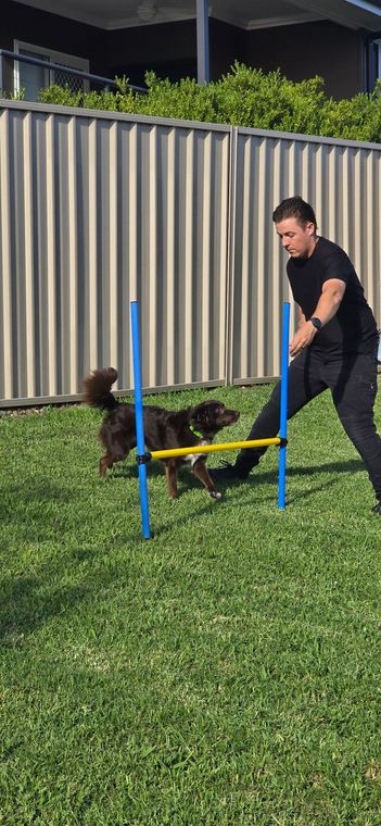 Dog Training - K9 Redemption