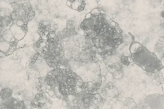 奈米植萃外泌體保養,HO.A,奈米植萃保養,外泌體保養,中醫師研發