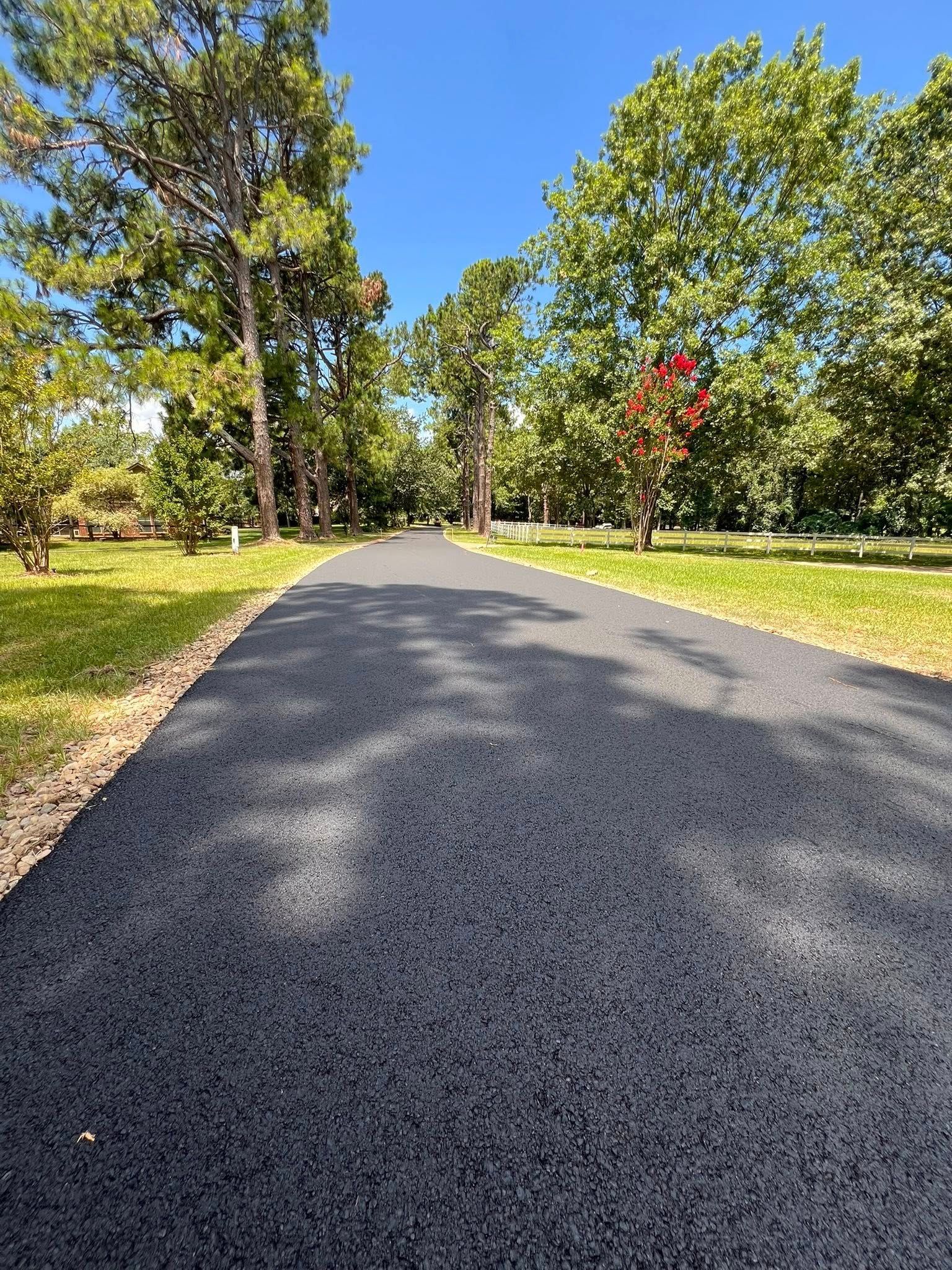 Asphalt road through a tree-lined, grassy area under a blue sky.