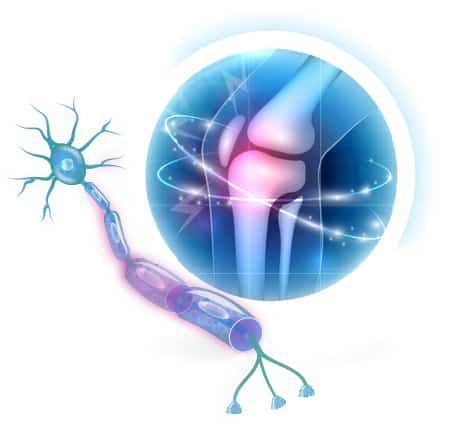 Nerve and Joint Pain