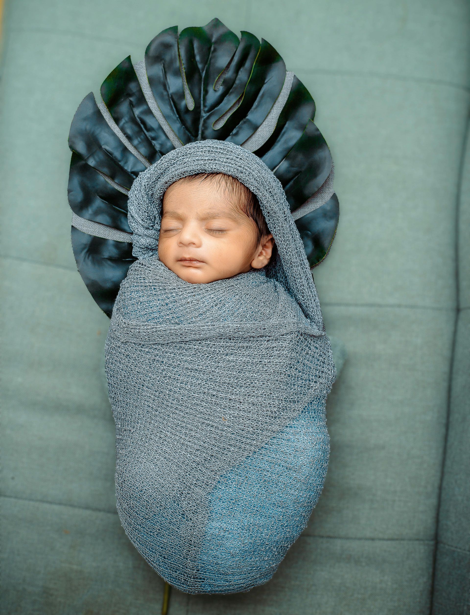 Sleeping baby swaddled in gray, nestled in a dark leafy prop on a pale green background