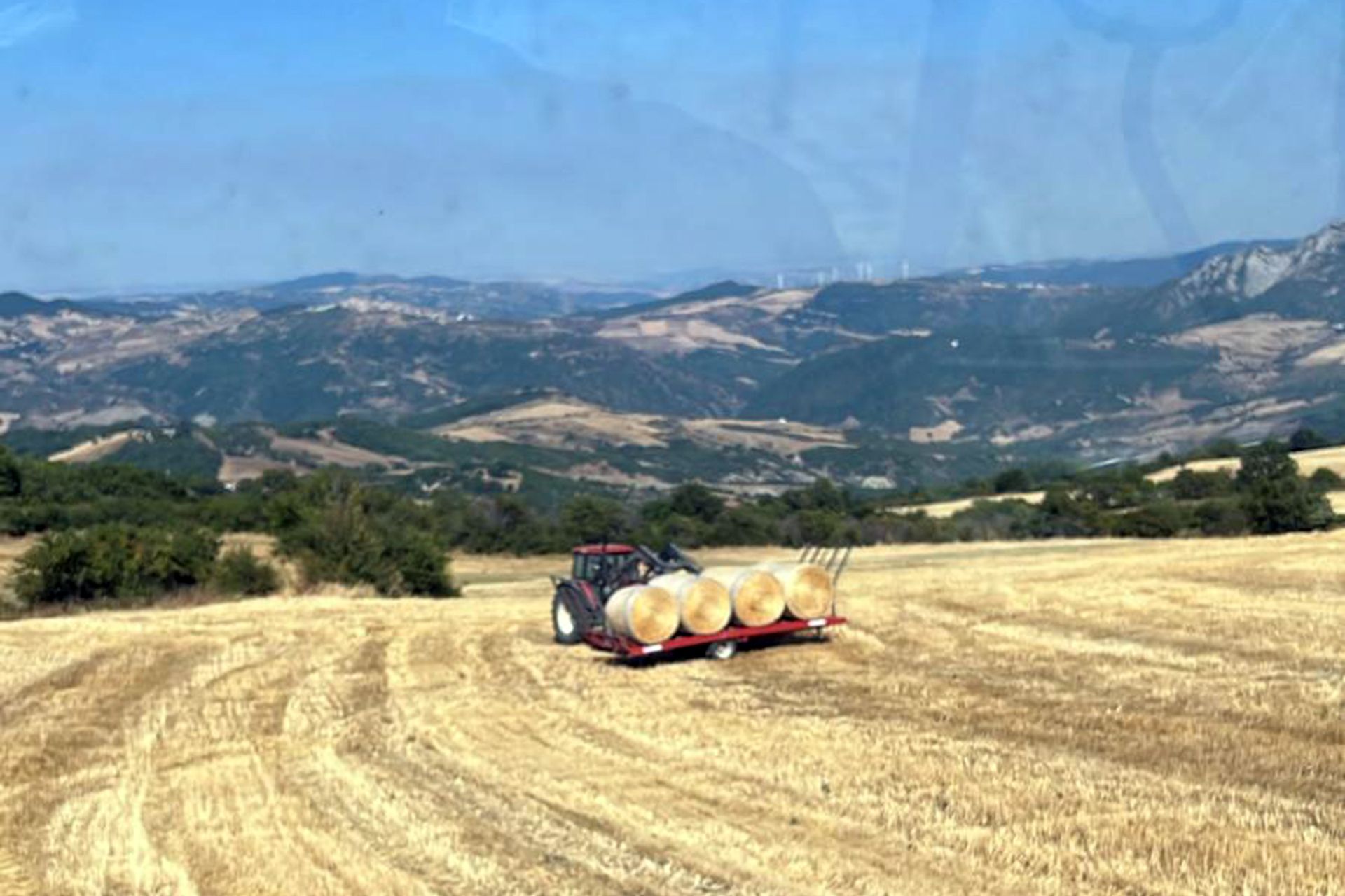 azienda agricola e zootecnica