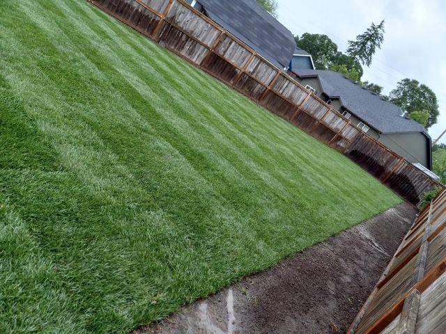 Lawn maintenance with fresh stripes and wood privacy fence in Salem, OR backyard