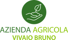 Vivaio Bruno logo
