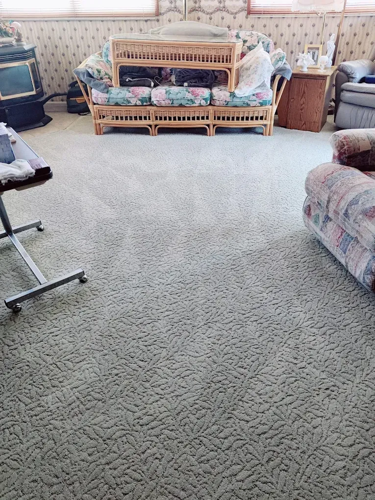 Steam cleaning a blue carpet in an office; steam rises from the cleaner head.