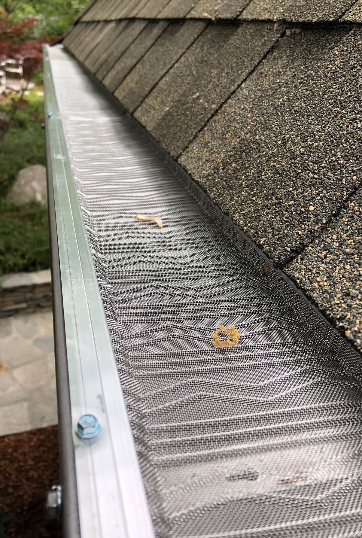 A close up of a gutter on a roof with a leaf on it.