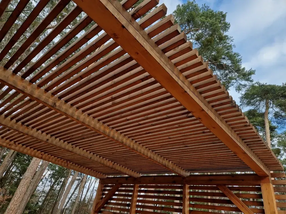 Wooden pergola with horizontal slats against a blue sky, viewed from below. — Dimond J Carpentry in Bli Bli, QLD