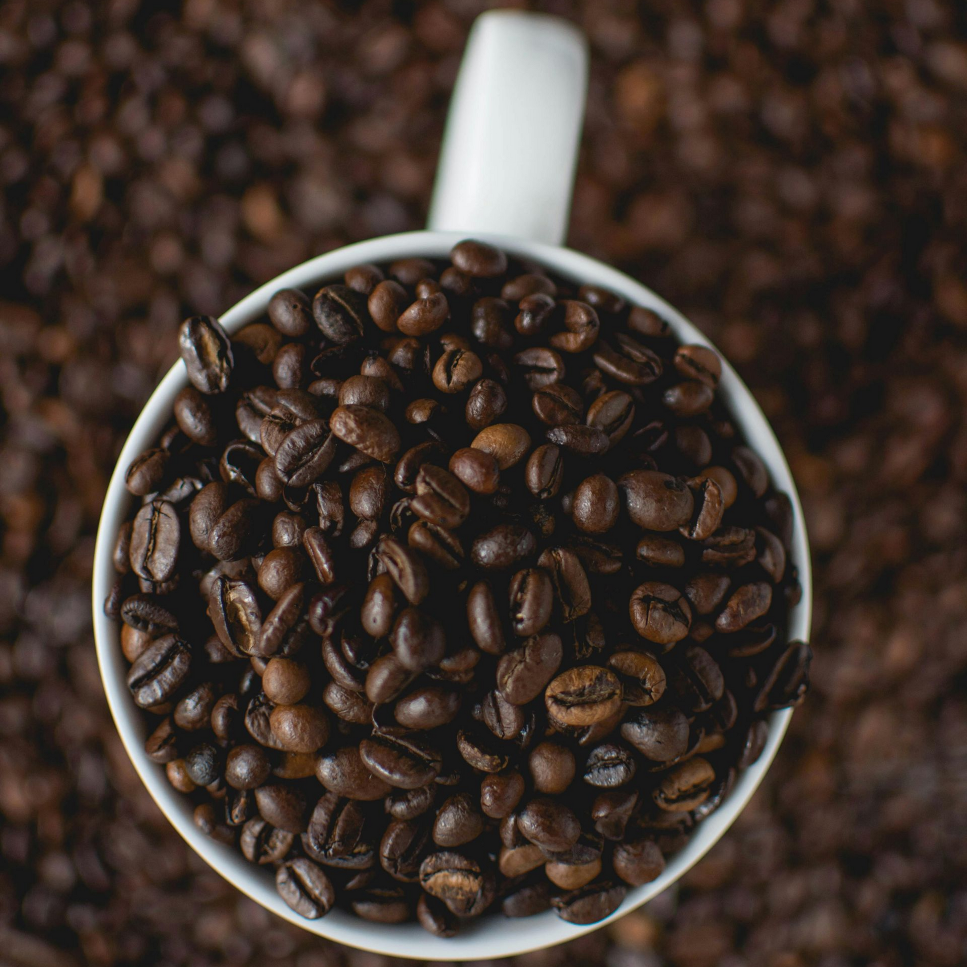 Close-up van gebrande koffiebonen, met bruine en donkerbruine kleuren.