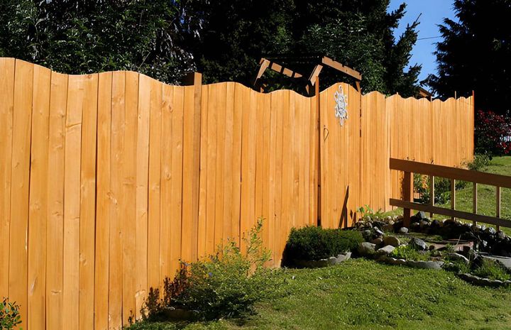 Scalloped wooden privacy fence in yard