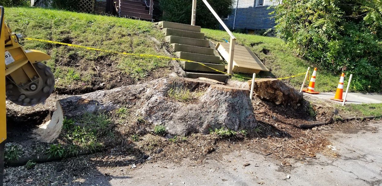 Tree Stump is Sitting on the Side — Masury, OH — Hackett's Tree Service