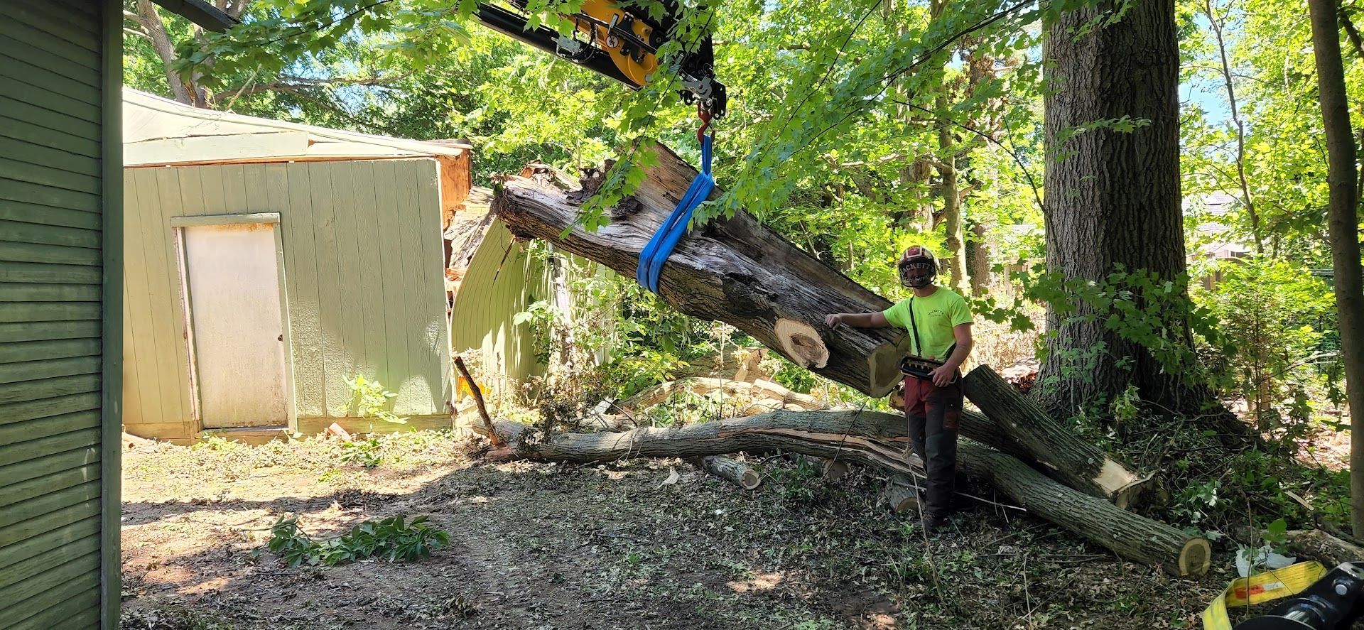 Man is Cutting Down a Tree With a Chainsaw — Masury, OH — Hackett's Tree Service