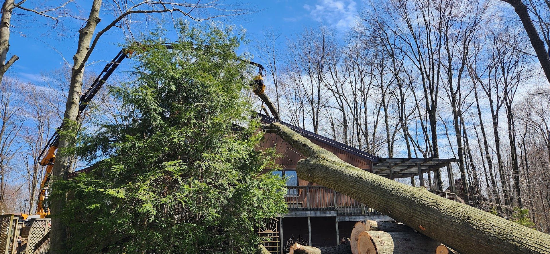 Large Tree Has Fallen on Top of a House — Masury, OH — Hackett's Tree Service