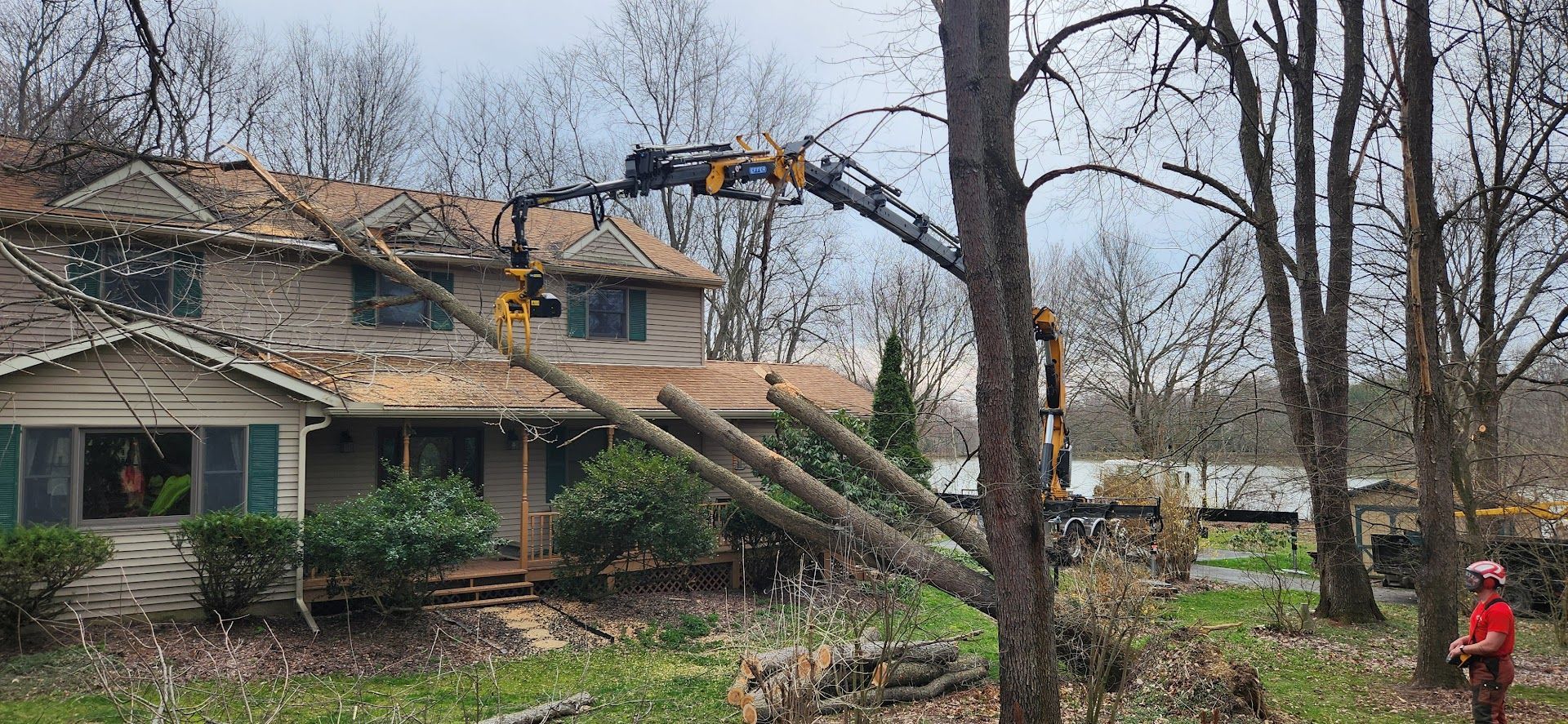 Crane is Lifting a Tree — Masury, OH — Hackett's Tree Service