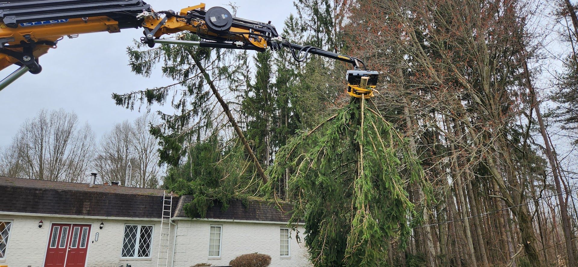 Remote Control Tree Removal — Masury, OH — Hackett's Tree Service