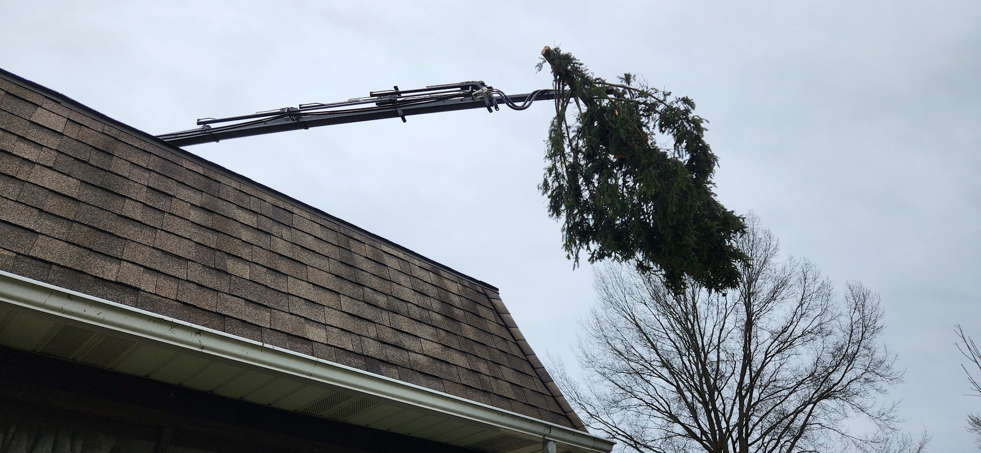 Tree is Being Removed From the Roof of a House — Masury, OH — Hackett's Tree Service
