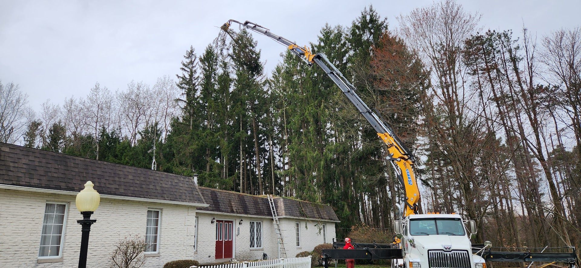 Tree Removal Service — Masury, OH — Hackett's Tree Service