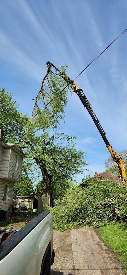 Crane is Cutting Down a Tree in Front of a House — Masury, OH — Hackett's Tree Service
