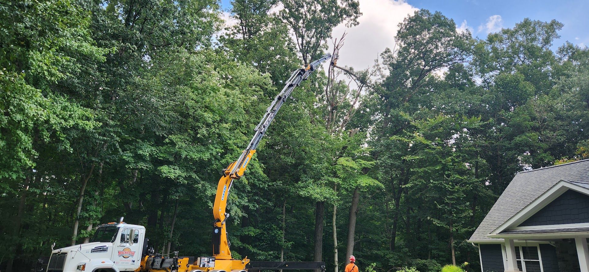 Crane is Cutting a Tree — Masury, OH — Hackett's Tree Service