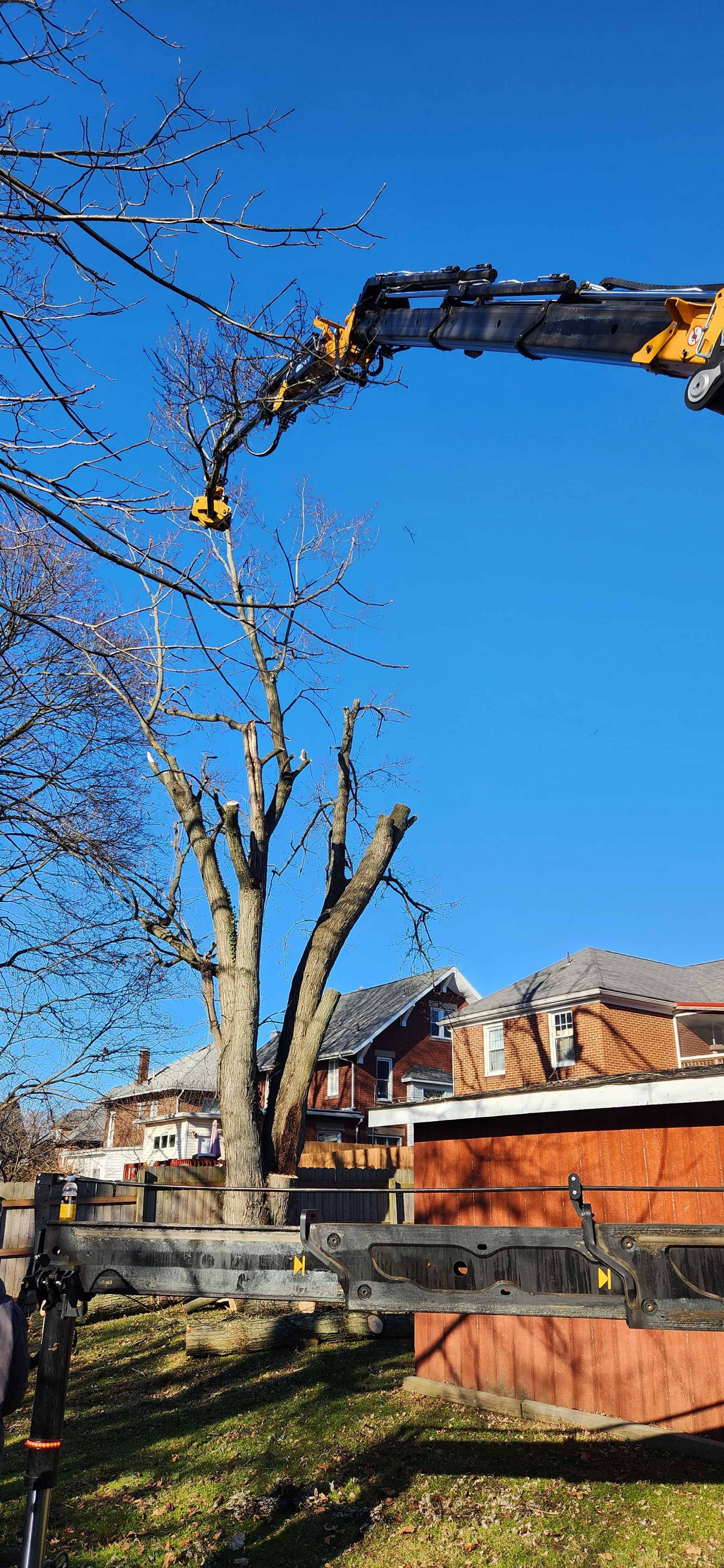 Man is Cutting a Tree With a Crane — Masury, OH — Hackett's Tree Service