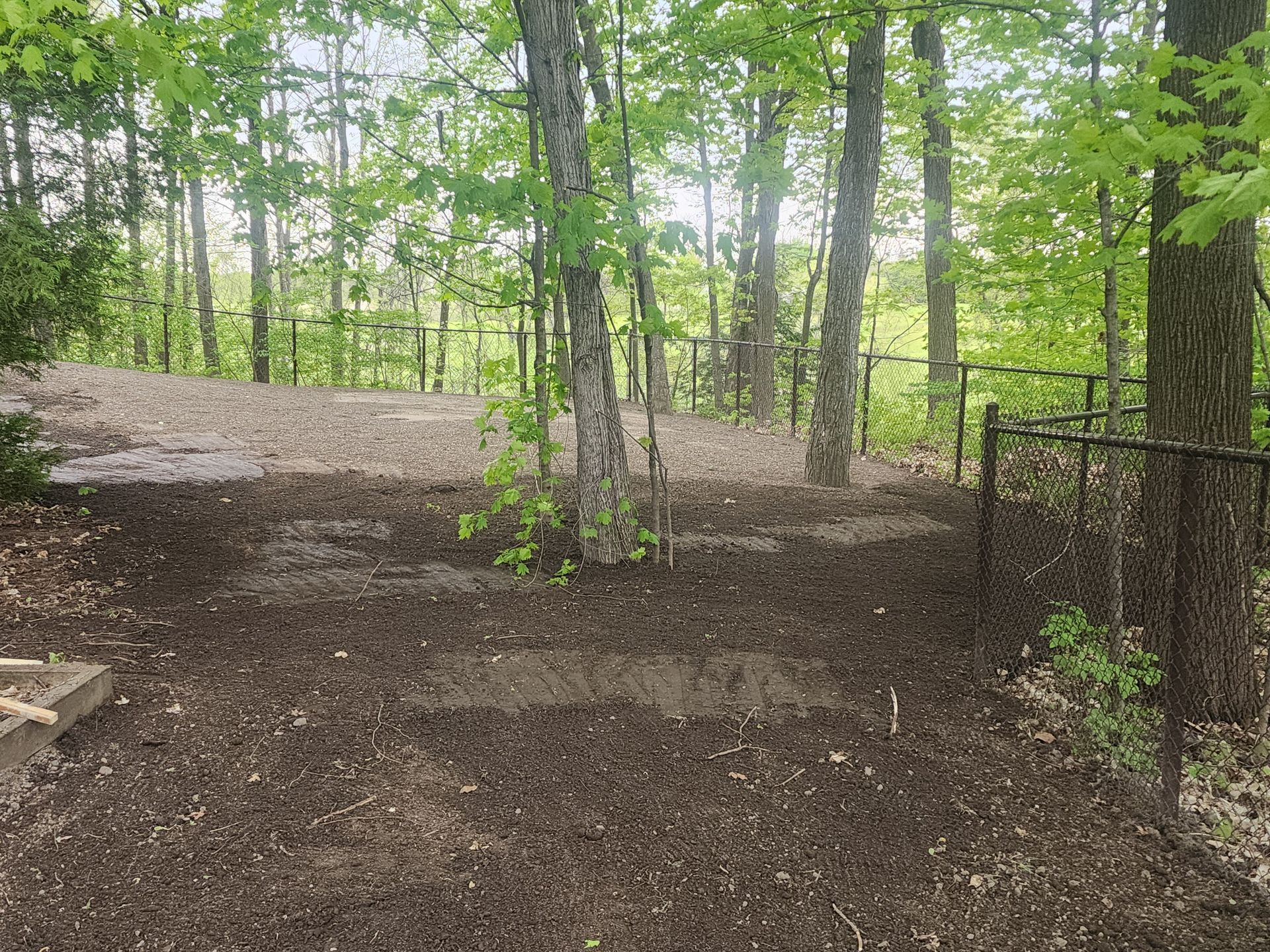 Un espace clôturé au milieu d'une forêt entourée d'arbres.