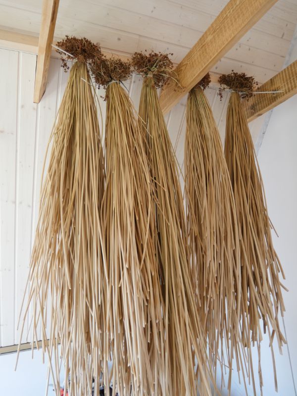 Amatu māja Sauleskalnā 2