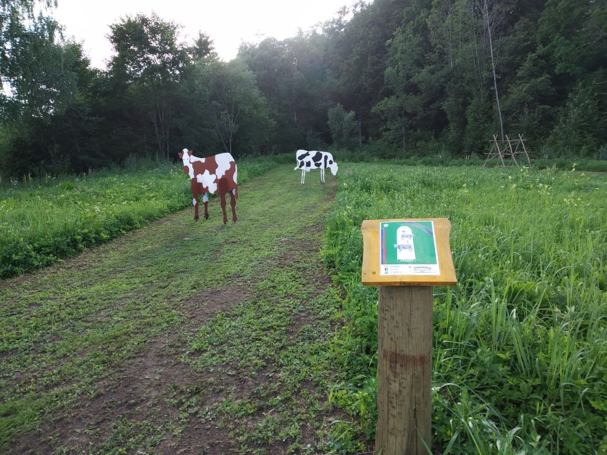Futbolgolfs Ganības 01