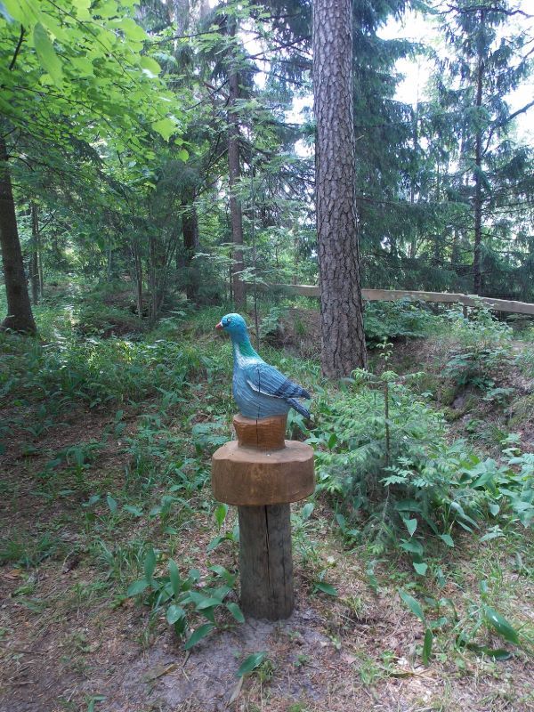 Putnu takā - Sauleskalns, atpūtas komplekss 07